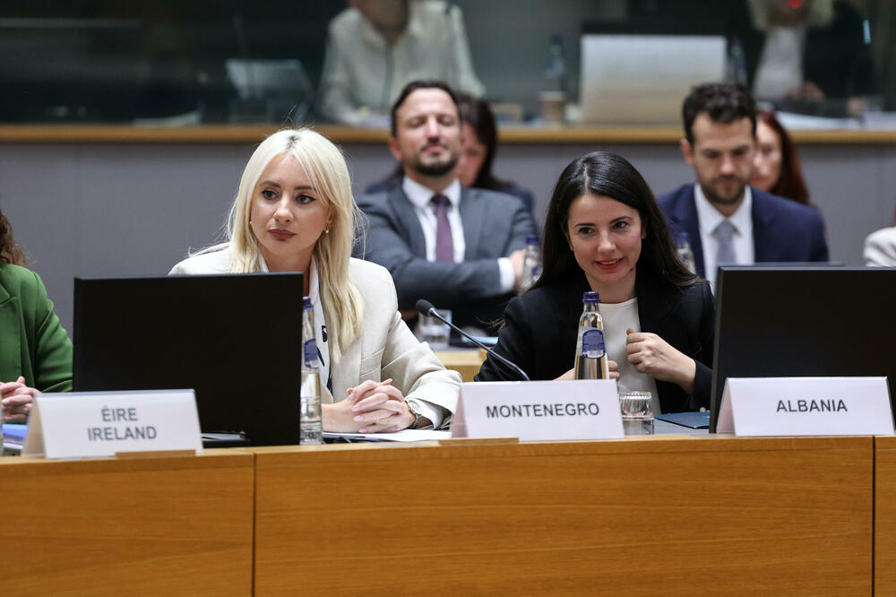 Gorčević na sastanku, Foto: MEP