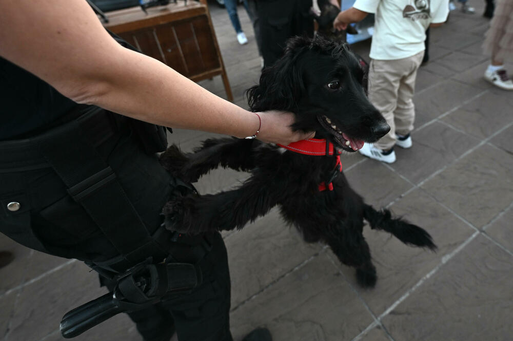 <p>Na događaju građanima predstavljena policijska oprema</p>