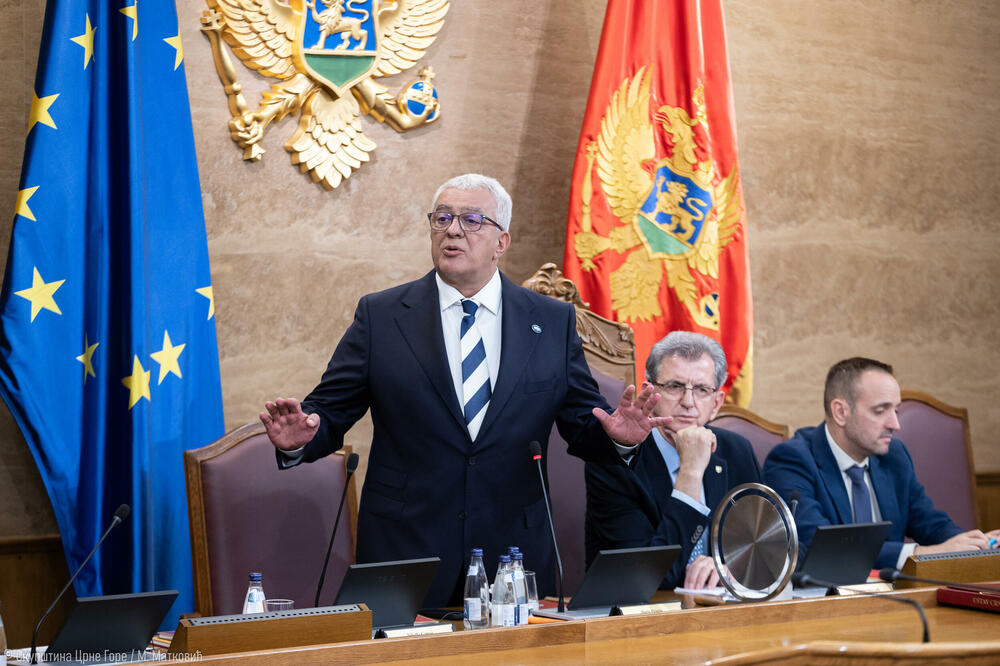 Ako ne bude kvoruma, može se zakomplikovati proces izmjene Ustava: Mandić, Foto: Igor Šljivančanin/Skupština