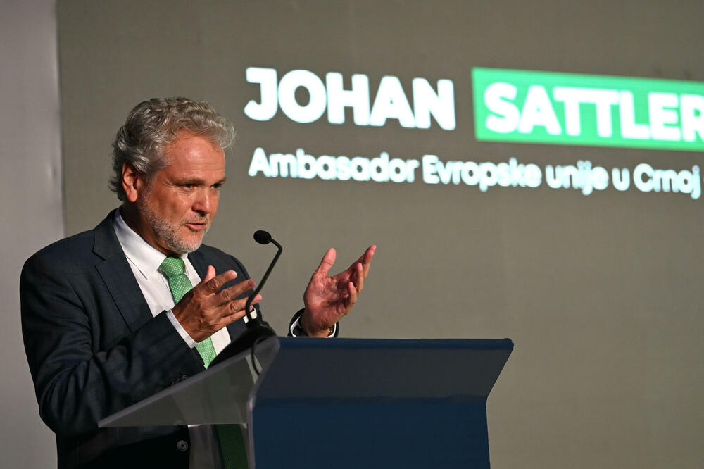 Satler na današnjoj konferenciji u Podgorici, Foto: Boris Pejović