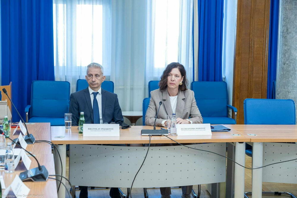 Fiskalni savjet formiran krajem jula: Pejaković i Popović, Foto: Skupština Crne Gore