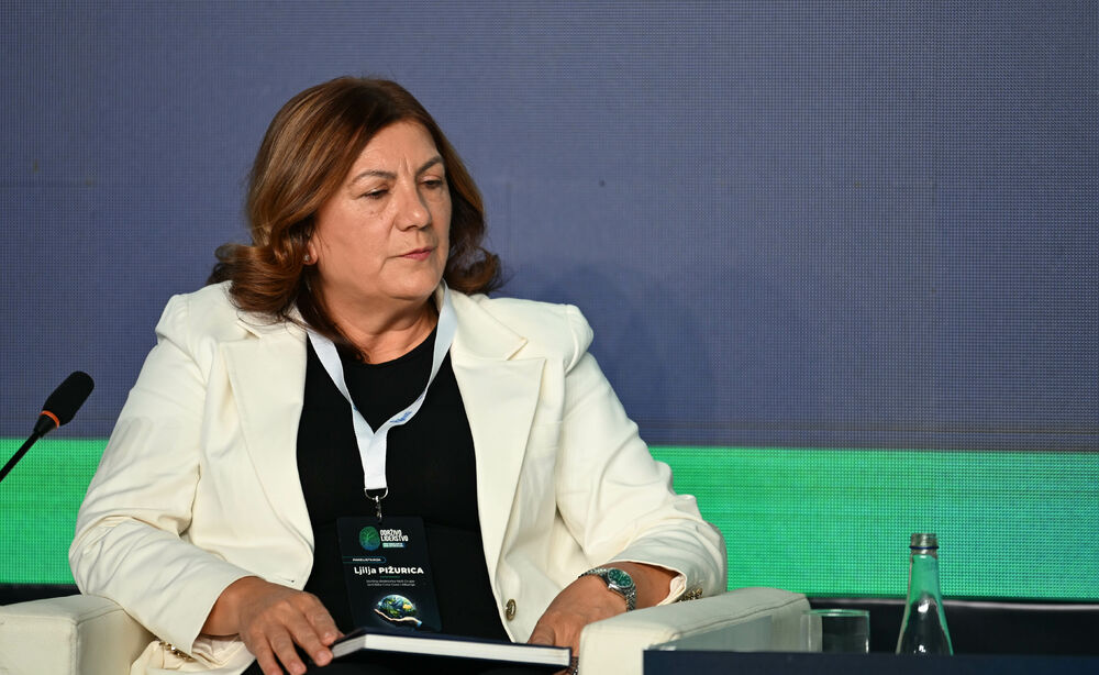 <p>Vijesti organizovale konferenciju koja je okupila okupiće predstavnike institucija, međunarodnih organizacija, poslovne, akademske i finansijske zajednice, civilnog sektora, kao i stručnjake iz oblasti održivog razvoja, energetike, investicija i ESG-a</p>