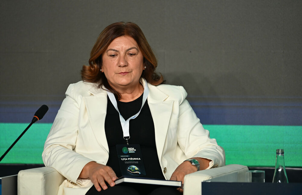 <p>Vijesti organizovale konferenciju koja je okupila okupiće predstavnike institucija, međunarodnih organizacija, poslovne, akademske i finansijske zajednice, civilnog sektora, kao i stručnjake iz oblasti održivog razvoja, energetike, investicija i ESG-a</p>