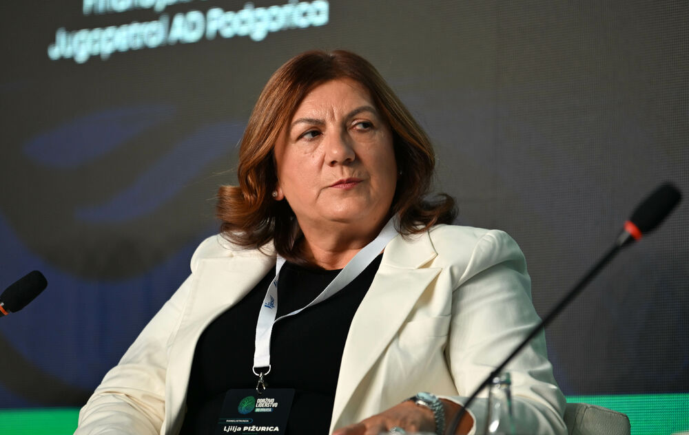 <p>Vijesti organizovale konferenciju koja je okupila okupiće predstavnike institucija, međunarodnih organizacija, poslovne, akademske i finansijske zajednice, civilnog sektora, kao i stručnjake iz oblasti održivog razvoja, energetike, investicija i ESG-a</p>