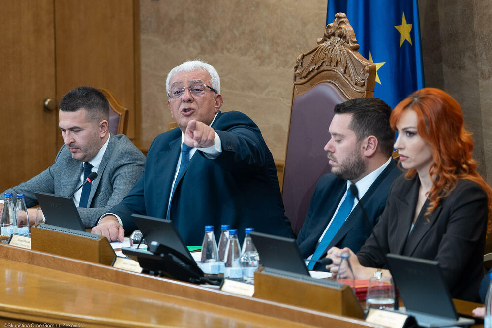 Najavio izbore za šest mjeseci: Mandić, Foto: Skupština Crne Gore/Luka Zeković