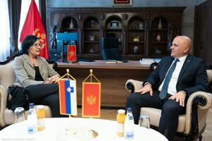 Gradišnik: Crna Gora ostvaruje značajan napredak na putu ka EU,...