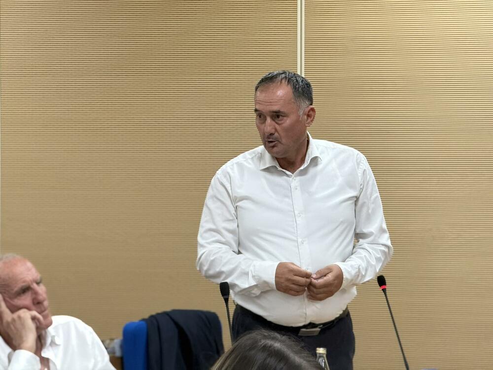 Vučinić