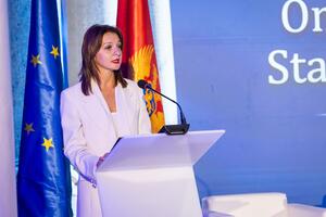 Armenko: Ustavni sud spreman da preuzme odgovornosti članstva u EU