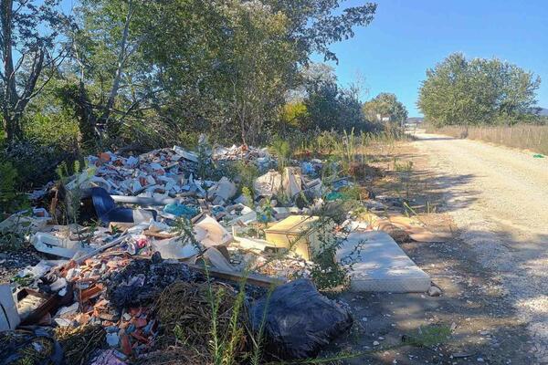 "Primorje" in bankruptcy and embracing illegal landfills