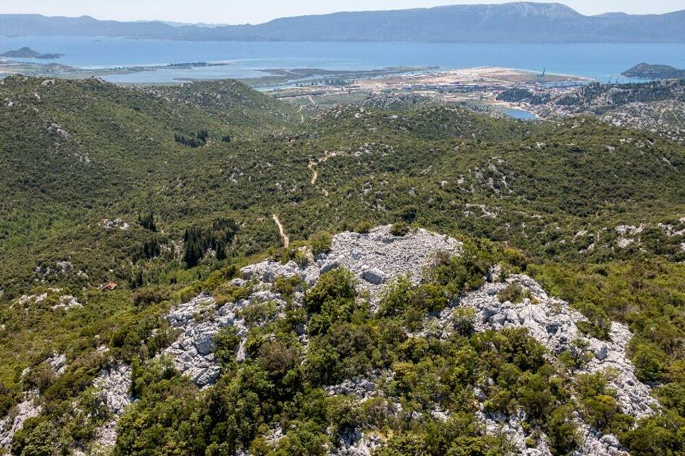 Velika gradina Vidonj