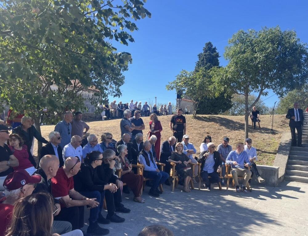 <p>Manifestacija je počela polaganjem vijenaca i intoniranjem himne, a zatim su se prisutnima obratili predsjednik Udruženja "Lješanska luča" Cvetko Vukčević i predsjednik Fondacije "Sula Radov" prof. dr Miomir Jovanović, te Stevan Radunović i prof. dr Branislav Radulović</p>