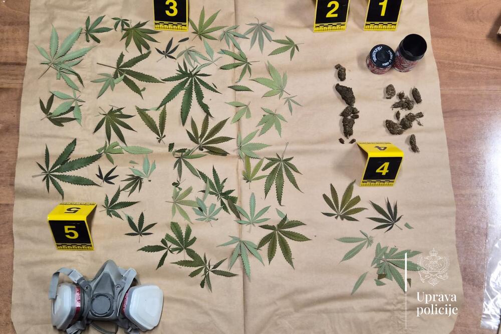 Foto: Uprava policije