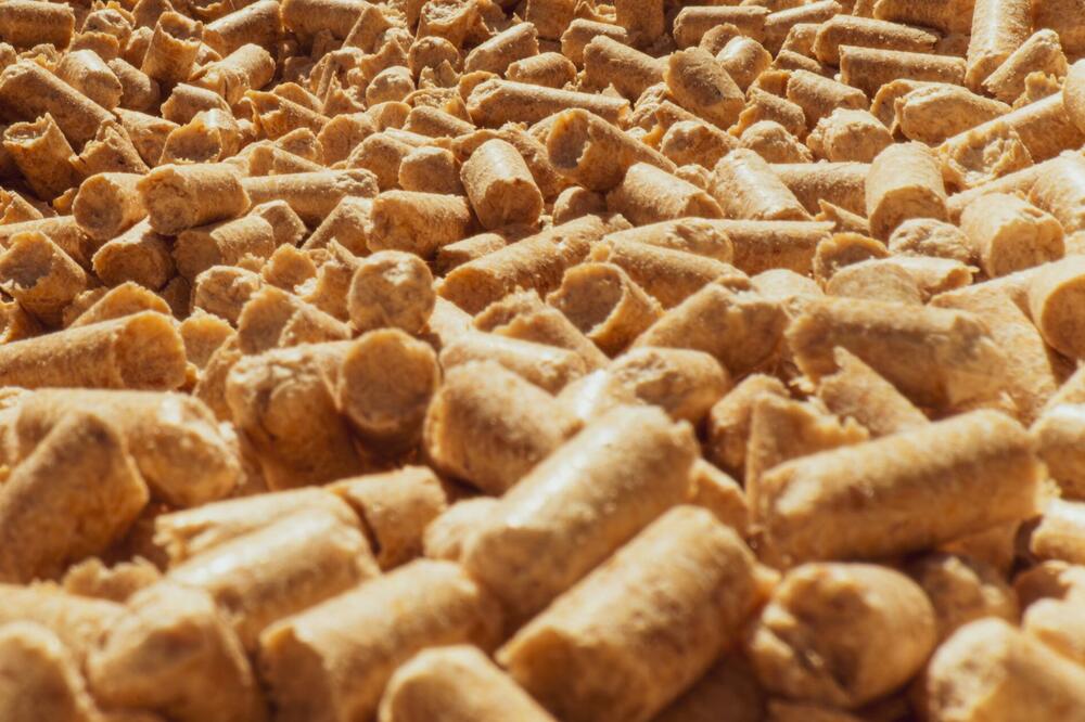 Foto: Shutterstock