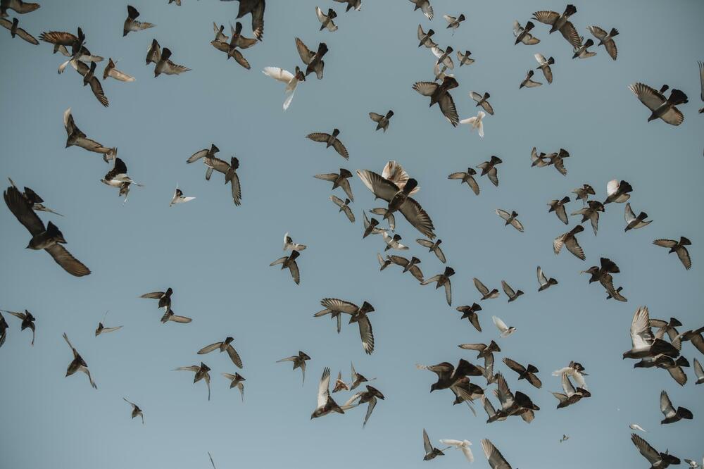 Ilustracija, Foto: Shutterstock