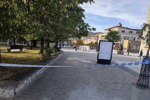 Pljevljak ubijen nakon kraće rasprave