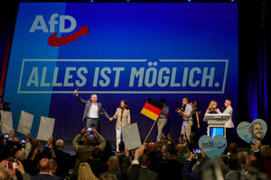 AfD bi mogao ublažiti stav prema EU i euru