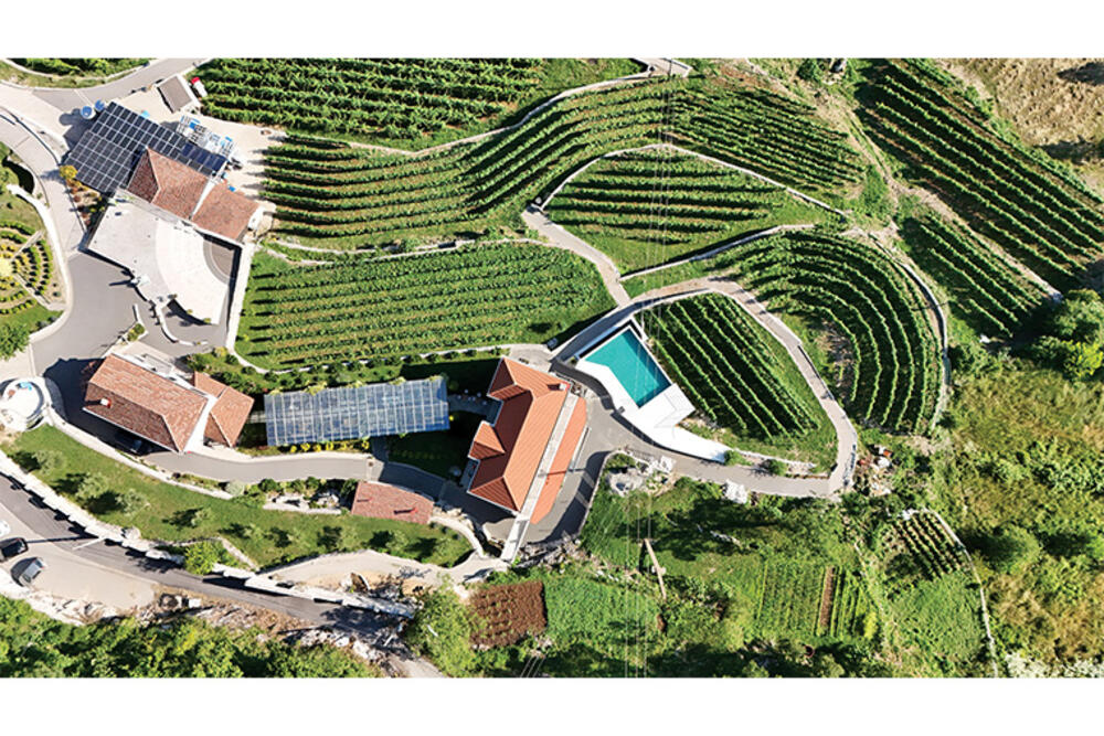 Wine empire