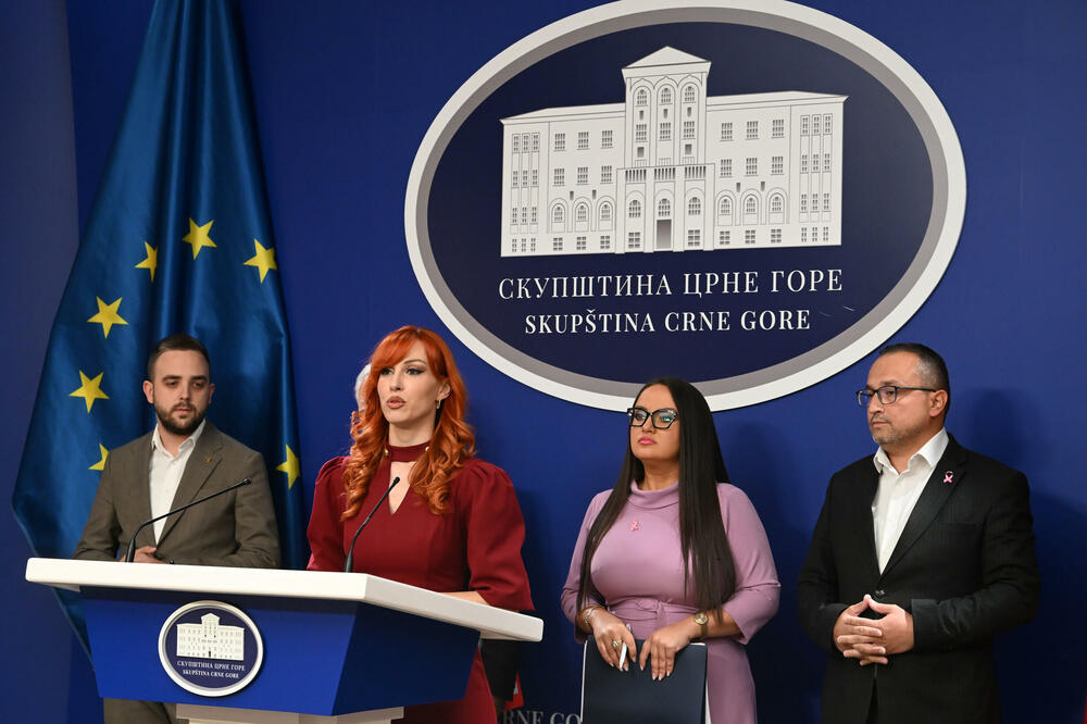 Sa konferencije za medije, Foto: Boris Pejović