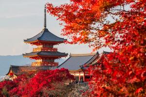 Japan ove jeseni mijenja turistički kalendar: Za crvene javore u...