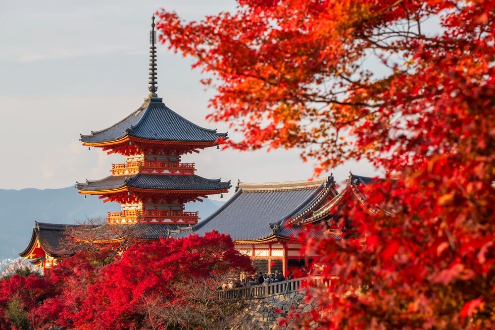 Foto: Shutterstock