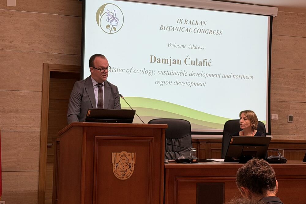 Ćulafić, Foto: MERS