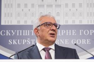 Mandić: Za budućnost Crne Gore je od sudbonosne važnosti odbrana...