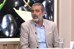 Rod najzastupljenije domaće sorte masline, značajno slabiji:...