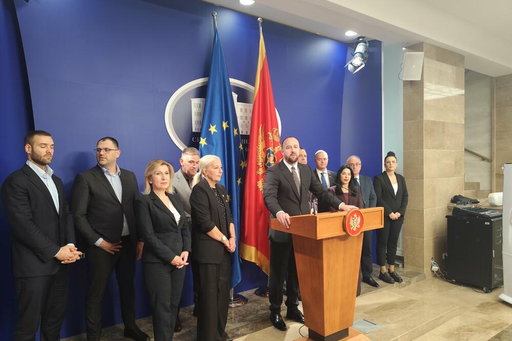 Nikolić se obraća na konferenciji za medije, Foto: Aljoša Turović