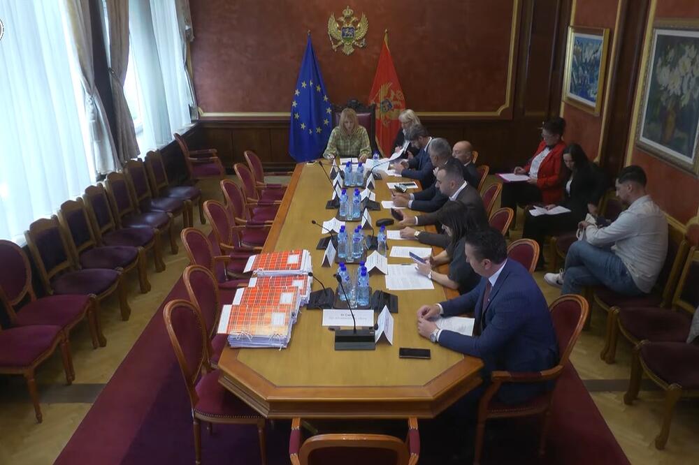 Foto: Screenshot/Skupština Crne Gore