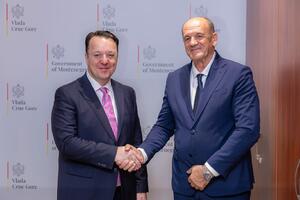Crna Gora i Sjeverna Makedonija razgovaraju o direktnoj avio-liniji