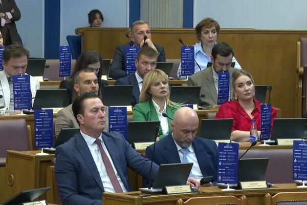 PES promoviše vladin "Euro model" zastavicama iz poslaničkih...