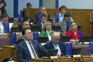 PES promoviše vladin "Euro model" zastavicama iz poslaničkih...