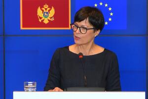 Kos: Ako ne bude saradnje vlasti i opozicije, Crna Gora rizikuje...