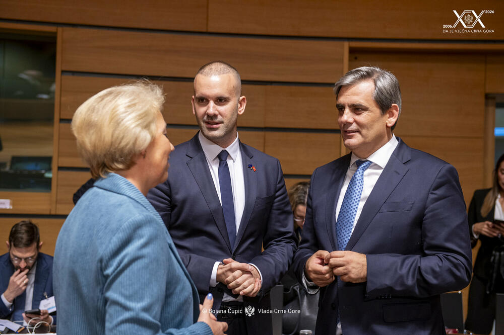 Spajić i Ibrahimović, Foto: Vlada Crne Gore
