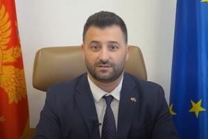 Pejović: Privremeno zatvaranje poglavlja 18 znači pouzdaniji i...