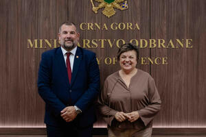 Krapović: Modernizacija Vojske Crne Gore češkom opremom među...