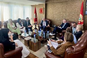 Đeka, Satler i Paniklova o reformama u oblasti rodne ravnopravnosti