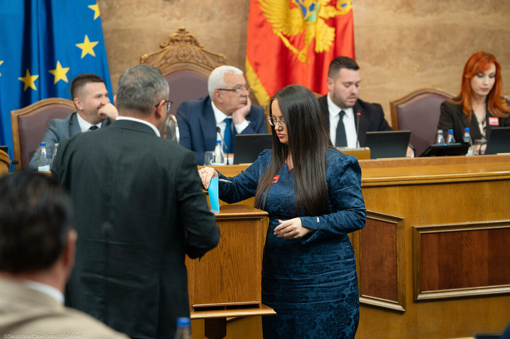 Detalj s glasanja o smjeni Mandića, Foto: Skupština