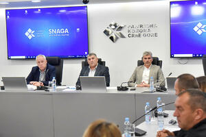 PKCG: Drvoprerađivačima obezbijediti sirovinu za poslovanje