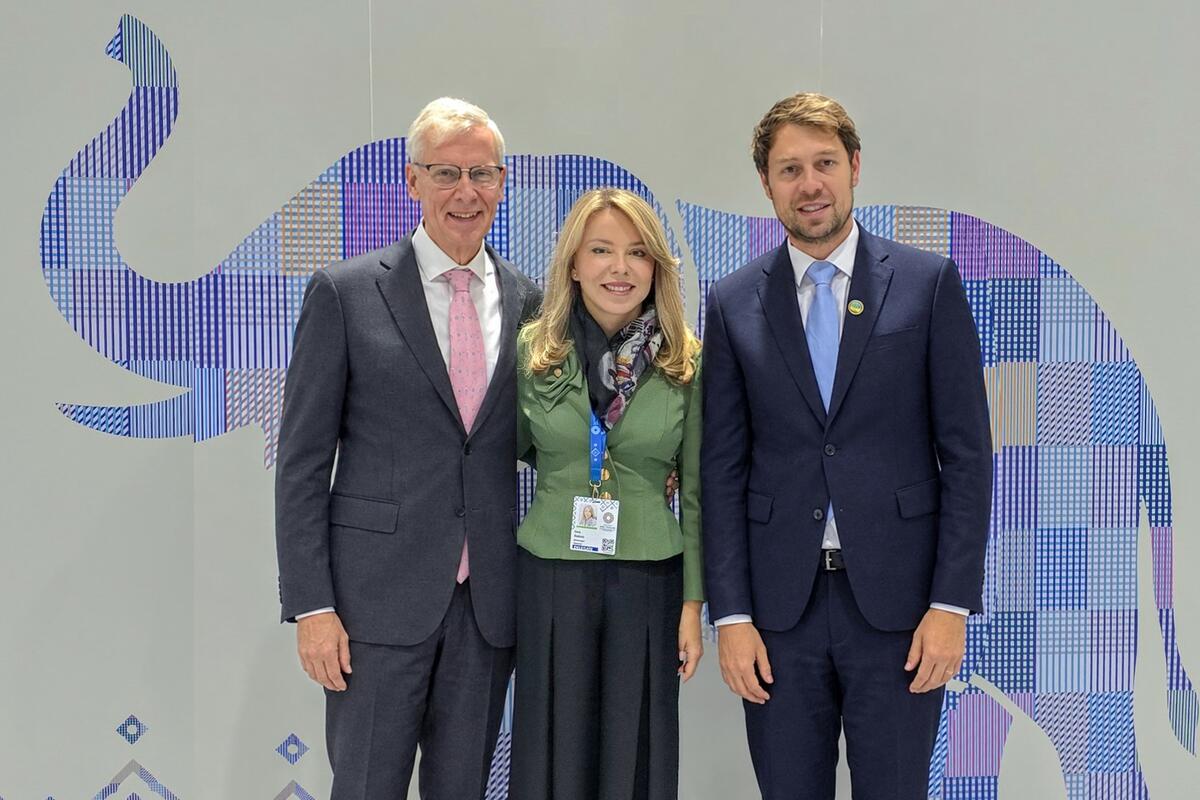 Montenegro: IMF recognizes progress in European integration