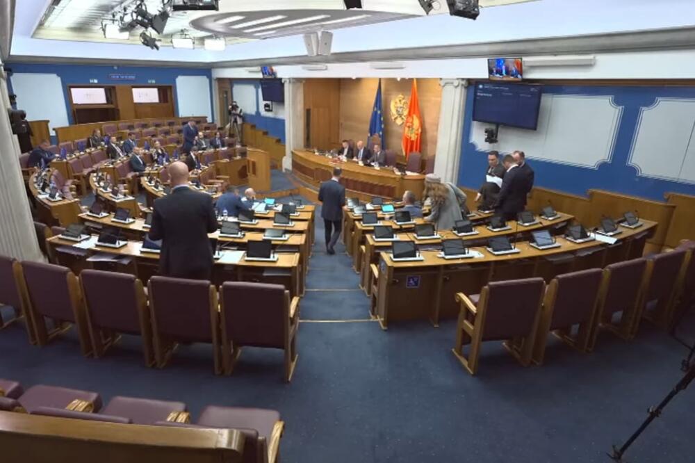 Detalj iz Skupštine Crne Gore, Foto: Skupština Crne Gore
