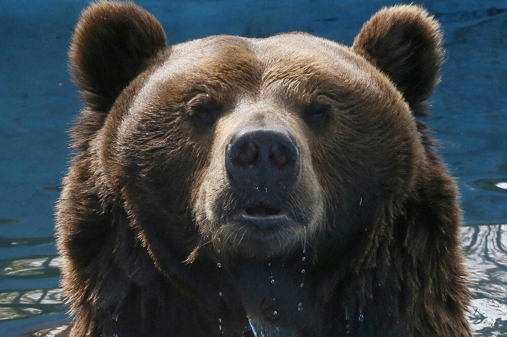 Foto: REUTERS