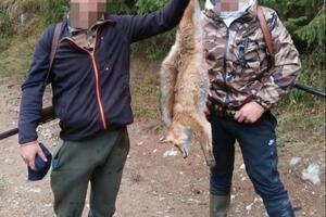 Beranac osumnjičen da je nezakonito odstrijelio lisicu, krivična...