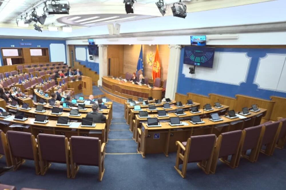 Sa sjednice, Foto: Screenshot/YouTube/Skuština Crne Gore