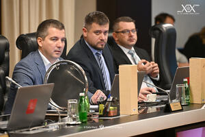 Vlada usvojila Informaciju o otkupu jagnjadi i instrukciju o...