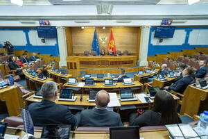 Usvojen Predlog zakona o izmjenama i dopunama Zakona o strancima