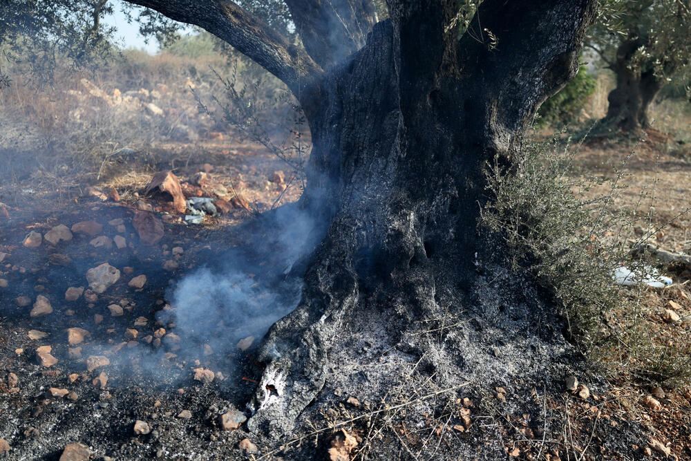 <p>Oko 80 doseljenika, od kojih su neki nosili kanistere sa gasom, spustilo se sa brda iznad terasastog maslinjaka, gdje su se mještani sela Abu Falah okupili kako bi brali zrele plodove maslina, što predstavlja važnu godišnju tradiciju u životu Palestinaca, naveli su očevici Rojtersa</p>  <p>Napad je nastavljen i nakon dolaska vojske, a izraelski vojnici ispaljivali su suzavac u pravcu Palestinaca koji su se prethodno sklonili pred džipovima. U tom području čuli su se i pucnji iz vatrenog oružja, a fotograf Rojtersa vidio je najmanje jednog naoružanog doseljenika kako puca</p>