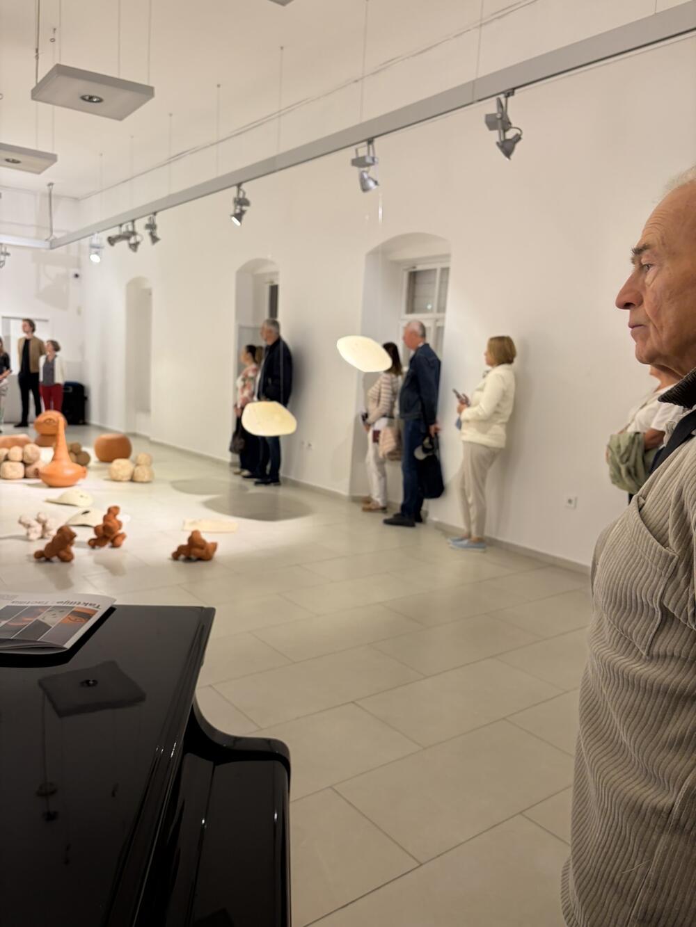 <p>Izložba u Modernoj galeriji &bdquo;Jovo Ivanović&ldquo; povezuje prirodne forme, keramiku i različite umjetničke pristupe. Postavka je otvorena do 5. novembra</p>
