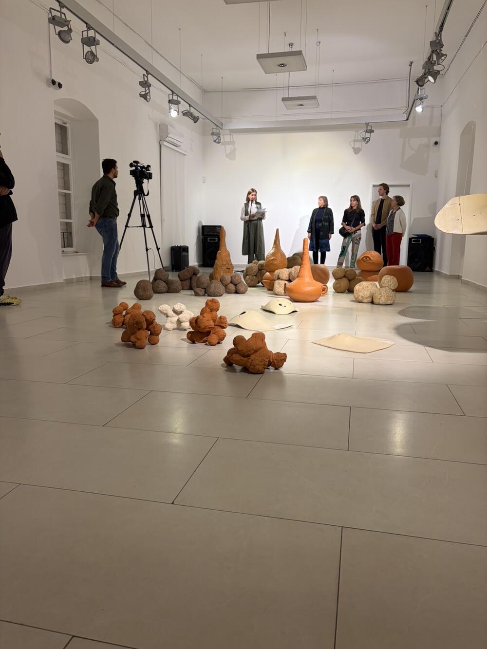 <p>Izložba u Modernoj galeriji &bdquo;Jovo Ivanović&ldquo; povezuje prirodne forme, keramiku i različite umjetničke pristupe. Postavka je otvorena do 5. novembra</p>