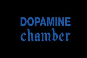 Fontaines D.C. objavili "Dopamine Chamber": Najradikalniji zvučni...